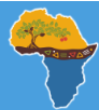 Afro investment plc
